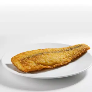 BARRACOUTA HGT 700/1000 20KG