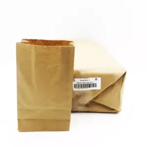 BROWN BAGS - SO2 (500)