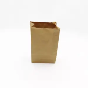 BROWN BAGS - SO4 (500)