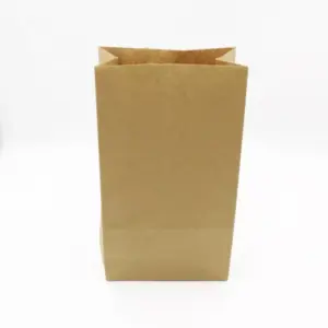 BROWN BAGS - SO20 (250)