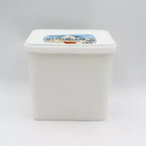 Vanilla Ice Cream 5L bulk tub for catering and home use
