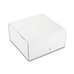 BOX 5X5X2 (100)
