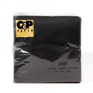 SERVIETTES - 2 PLY BLACK (100)