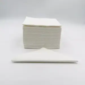 SERVIETTES - 2 PLY WHITE (100)