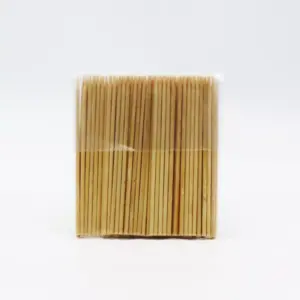 SKEWERS - 10CM (100)