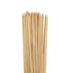 SKEWERS - 20CM THICK (250)