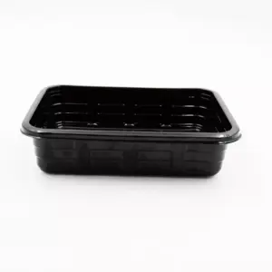 SUSHI TRAY - T6 (187*133*45) DEEP